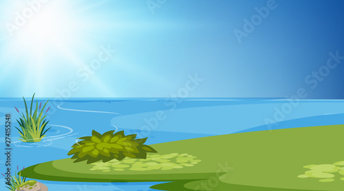 A simple lake scene