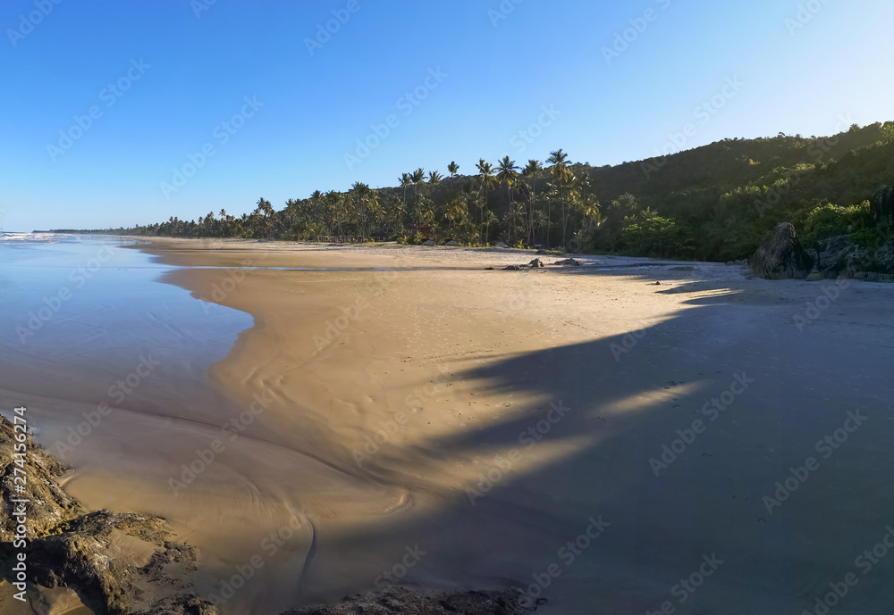 Beautiful tropical beach in Bahia - Northeast Brazil