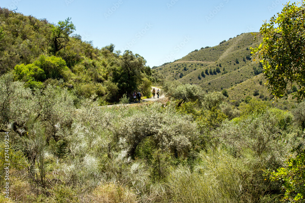 Hiking Mountains in Malaga Spain
