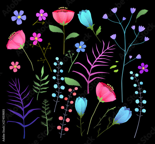 Wild flowers flat vector illustration set isolated clip art on Black