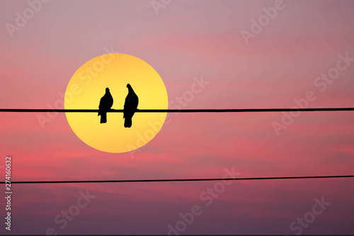 silhouette of two birds on wire