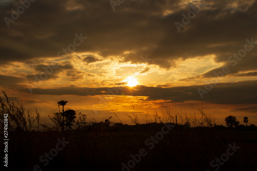 Evening weather  Golden sky and cloud with Light sunshine  Dark shadow meadow in the field and far away as a mountain.