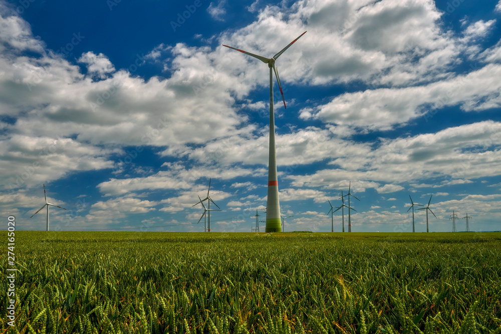 Cultivated fields with matured cereals, and on them windmills producing green energy - Germany, Maklemburg Cultivated fields with matured cereals, and on them windmills producing green energy - Germany, Maklemburg