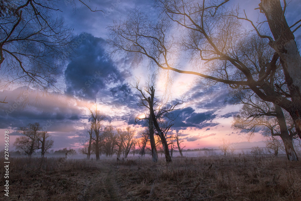 Obraz premium Sunset late autumn.