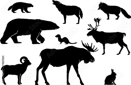 Fototapeta Naklejka Na Ścianę i Meble -  Arctic North Land Animals Silhouette Set