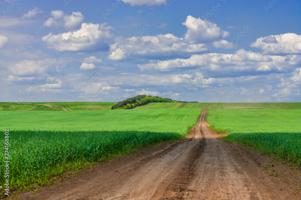 picturesque view of road among agricultural field with white fluffy clouds in blue sky at sunny summer day