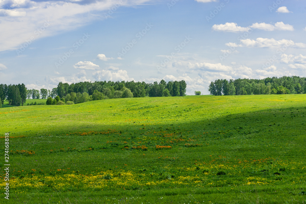 picturesque view of green field with white fluffy clouds on blue sky at sunny day