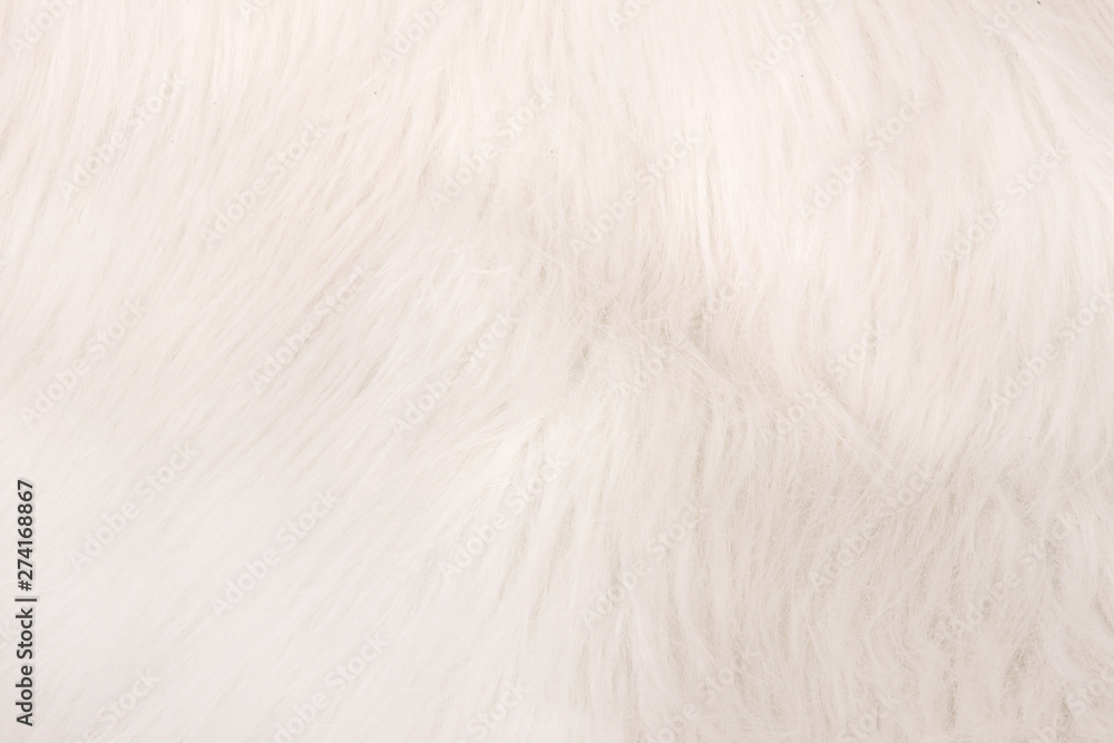 Background from natural fur. Animal Hair Background. Black and White Background. Background from natural fur. Animal Hair Background. Black and White Background.