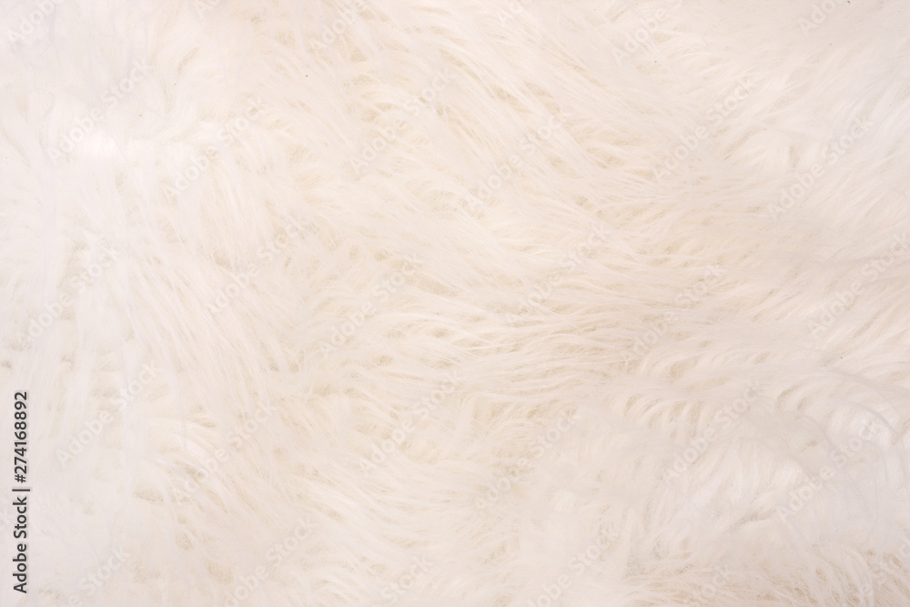 Obraz premium Background from natural fur. Animal Hair Background. Black and White Background.
