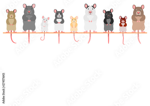 cute mice and rats in a row