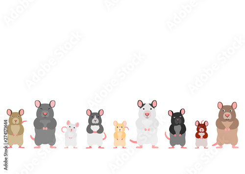 cute mice and rats in a row