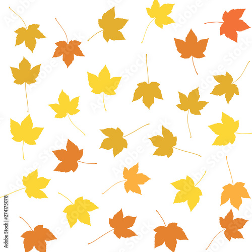 Colourful Autumn Maple Leaves Pattern on White Background