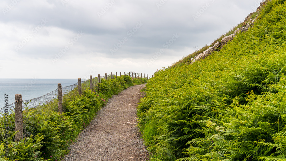 The scenic Bray to Greystones Cliff Walk in Wicklow, Ireland. Hiking trail along the green, fern covered, Irish East Coast on a cloudy summer day.