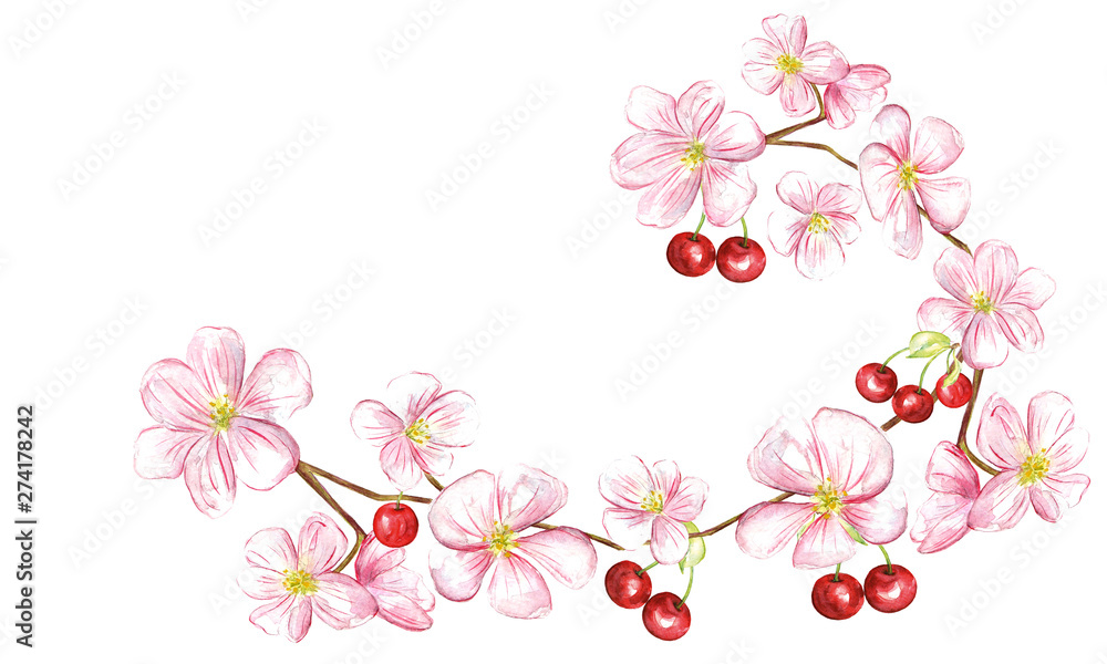 Fototapeta premium Cherry juicy fruit and blossom floral. Watercolor design illustration.