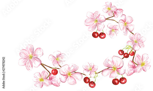 Cherry juicy fruit and blossom floral. Watercolor design illustration.