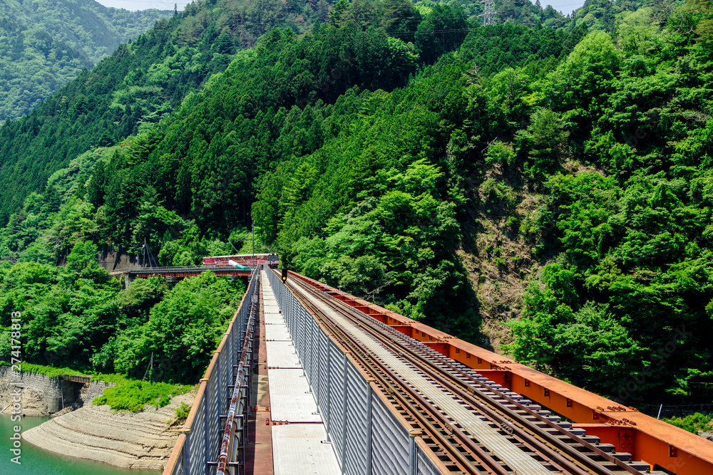 Fototapeta premium 接岨湖の鉄橋を渡る列車