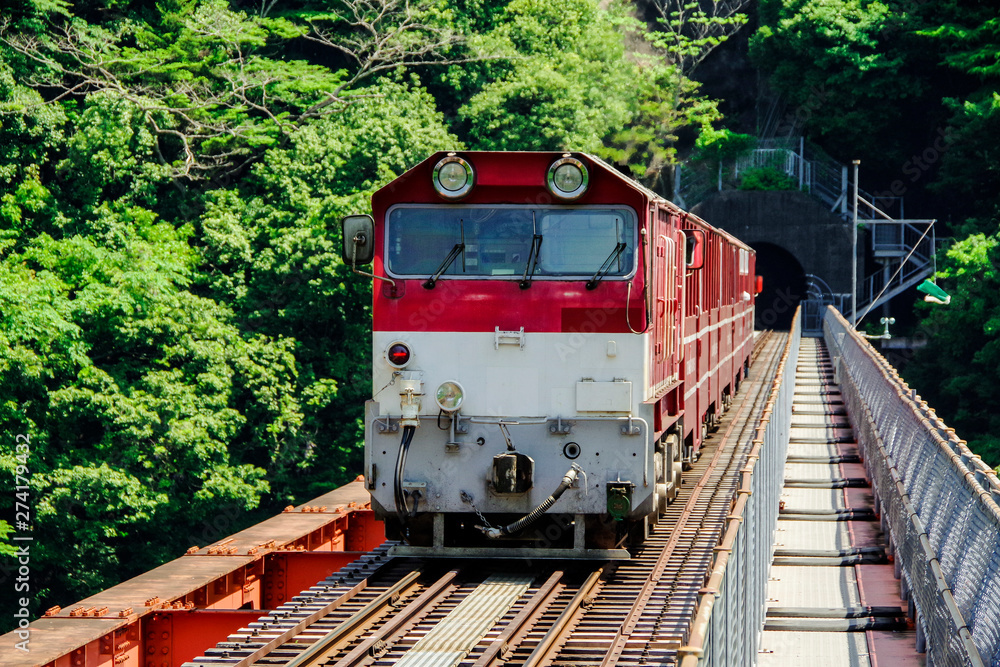 Fototapeta premium 接岨湖の鉄橋を渡る列車
