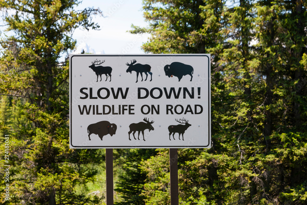 Wildlife road safety sign in the Grand Tetons National Park in Wyoming, USA