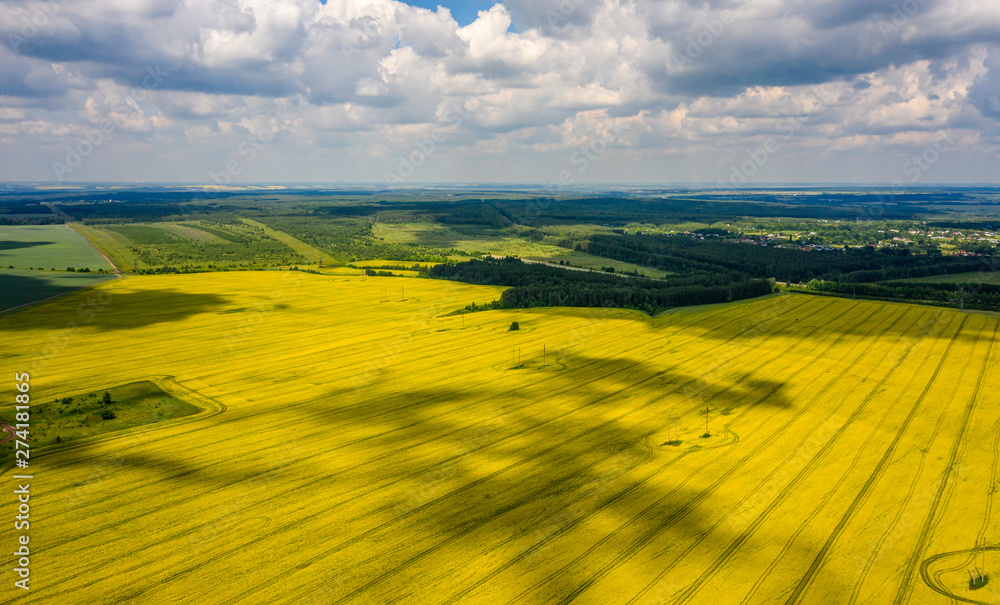 Obraz premium view from the quadcopter on the field of flowering rapeseed with intricate patterns of clouds floating in the sky