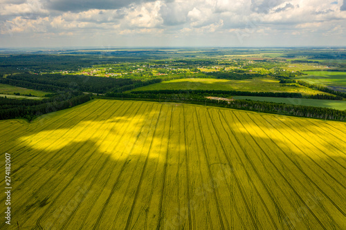 view from the quadcopter on the field of flowering rapeseed with intricate patterns of clouds floating in the sky