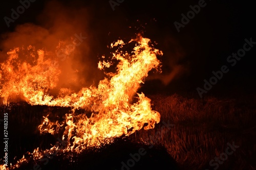 fire flame in darkness for abstract background