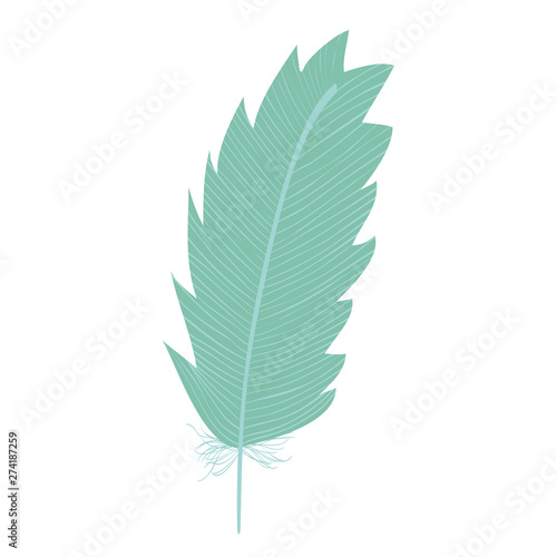 cute bohemian feather decorative icon