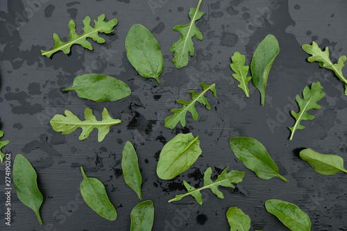 spinach and arugula leaves on black background with water drops