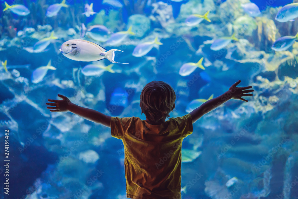 Little boy, kid watching the shoal of fish swimming in oceanarium, children enjoying underwater life in Aquarium