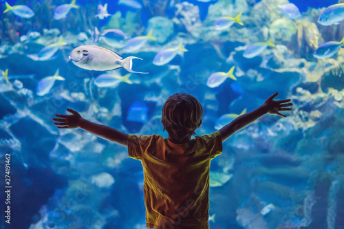 Obraz na płótnie Little boy, kid watching the shoal of fish swimming in oceanarium, children enjoying underwater life in Aquarium w salonie