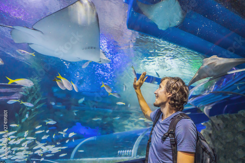 Photography curious tourist watching with interest on shark in oceanarium tunnel
