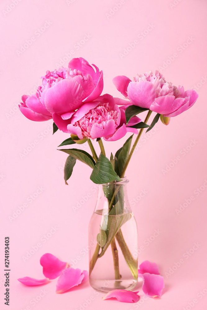 Obraz premium Vase with beautiful peony flowers on color background