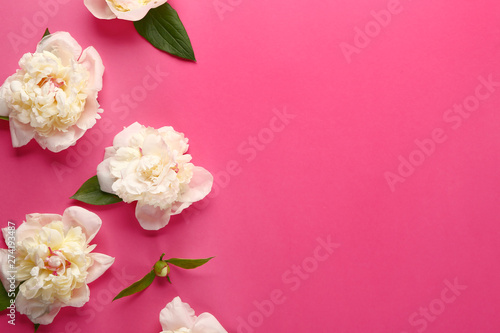 Beautiful peonies on color background