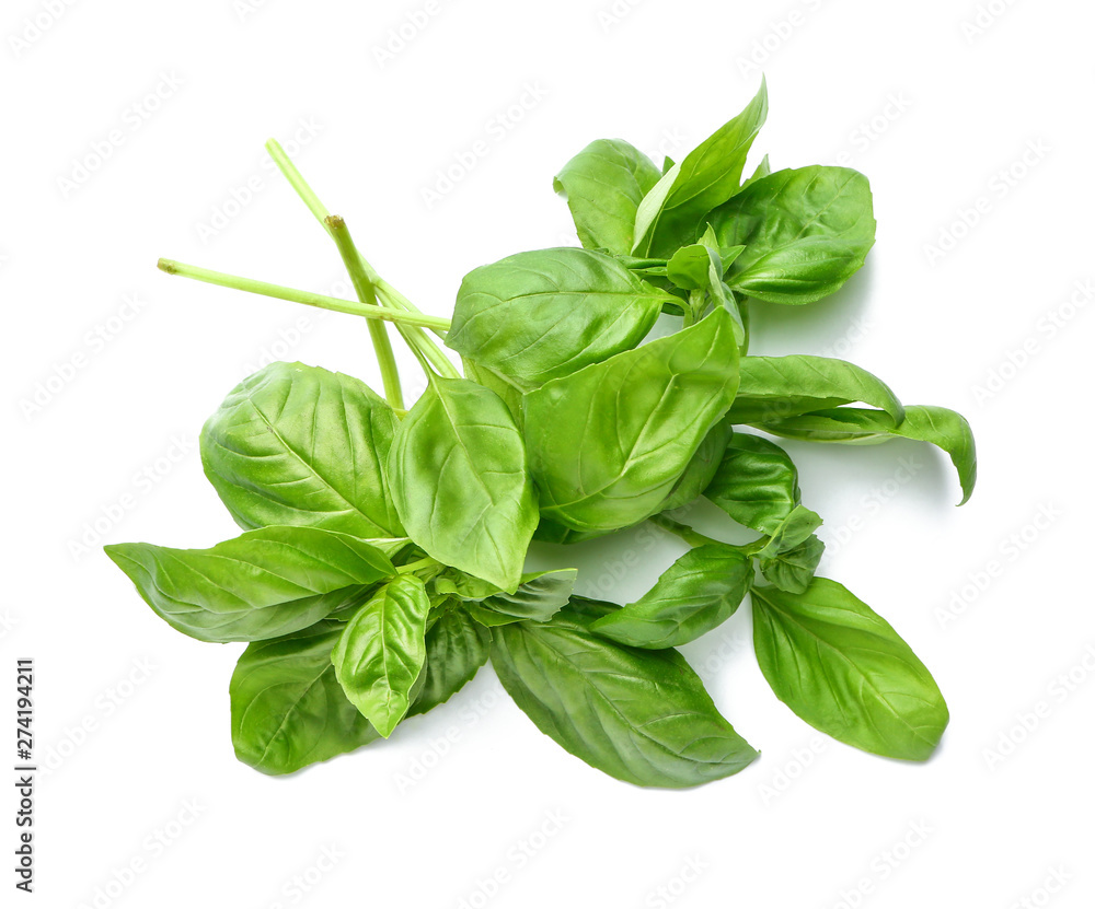 Fresh green basil on white background Fresh green basil on white background