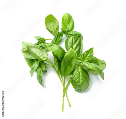 Fotografie Fresh green basil on white background