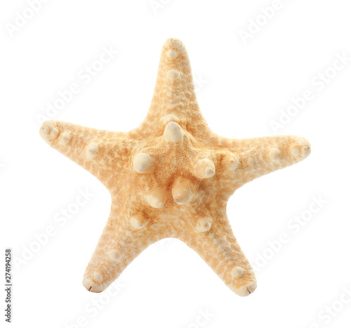 Beautiful starfish on white background