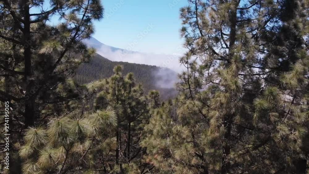 AERIAL. The camera rises and opens up a panoramic view of the valley with clouds and the Teide volcano, Tenerife, Spain