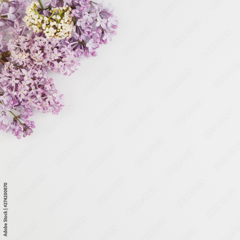 Top view flowers with copy space Top view flowers with copy space