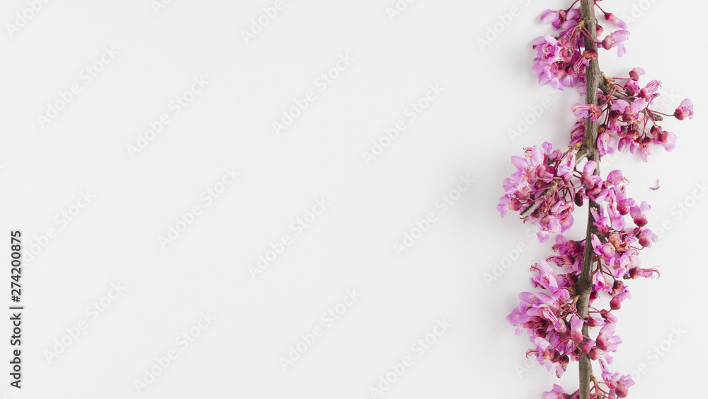 Top view flowers with copy space Top view flowers with copy space