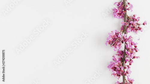 Top view flowers with copy space