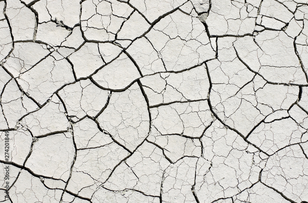 Dry bleached earth in large cracks on a sunny day close-up Dry bleached earth in large cracks on a sunny day close-up