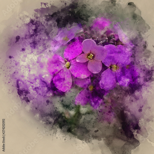 Digital watercolor painting of Stunning purple Spring flowers with shallow depth of field photo