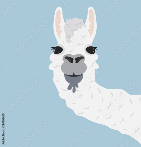 Happy head llama Vector Illustration