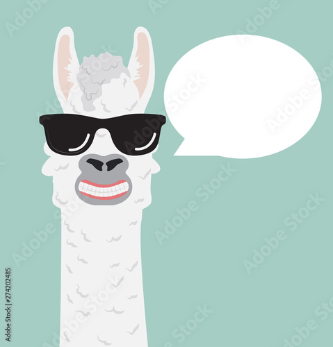 Cute alpaca with glasses speech bubble
