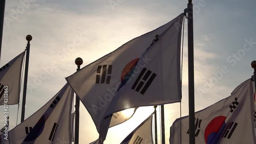 Several korean flags in the wind with the sunset behind it photo