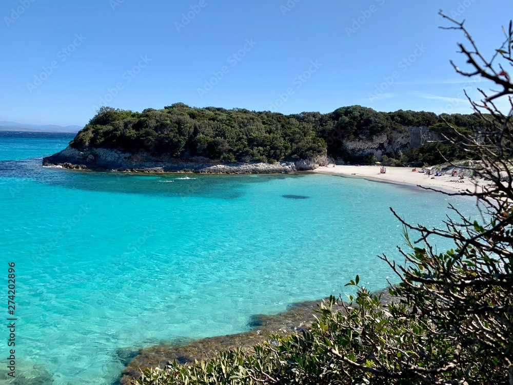 Fototapeta premium Plage du Sperone Corse