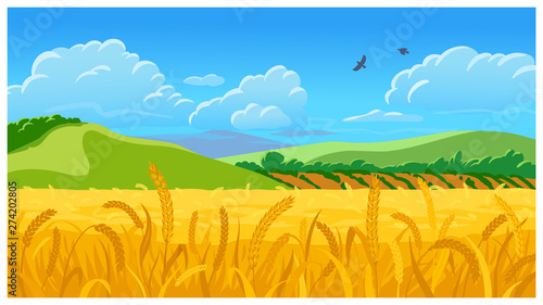 Summer field vector illustration