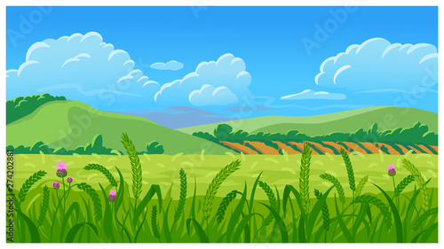 Summer field vector illustration