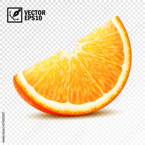 3d realistic vector slice of half an orange