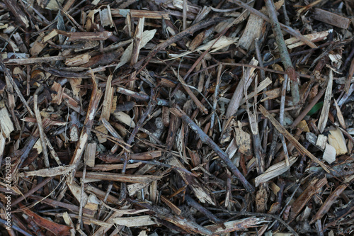 Texture sol de foret avec écorce et bois