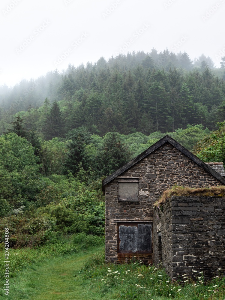 An abandoned old stone cabin in the woods on a misty day